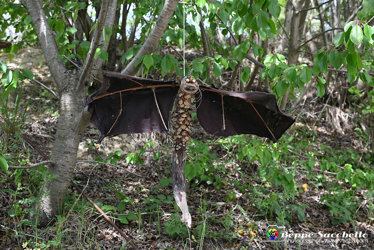 VBS_3237 - Mango (Cuneo) - Gnomovia.jpg